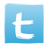 Twitter Icon